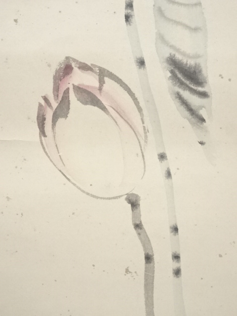 道具 ] - 道具 喜多武清筆 蓮花図 肉筆紙本掛軸（保護箱） | ネット